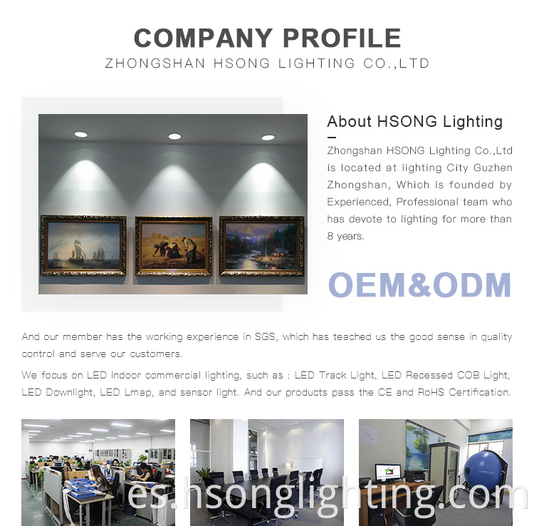 Iluminación comercial Hsong 5W 7W 10W 12W 18W 25W Spotlight Cob empotrada de aluminio en interiores para la tienda de ropa